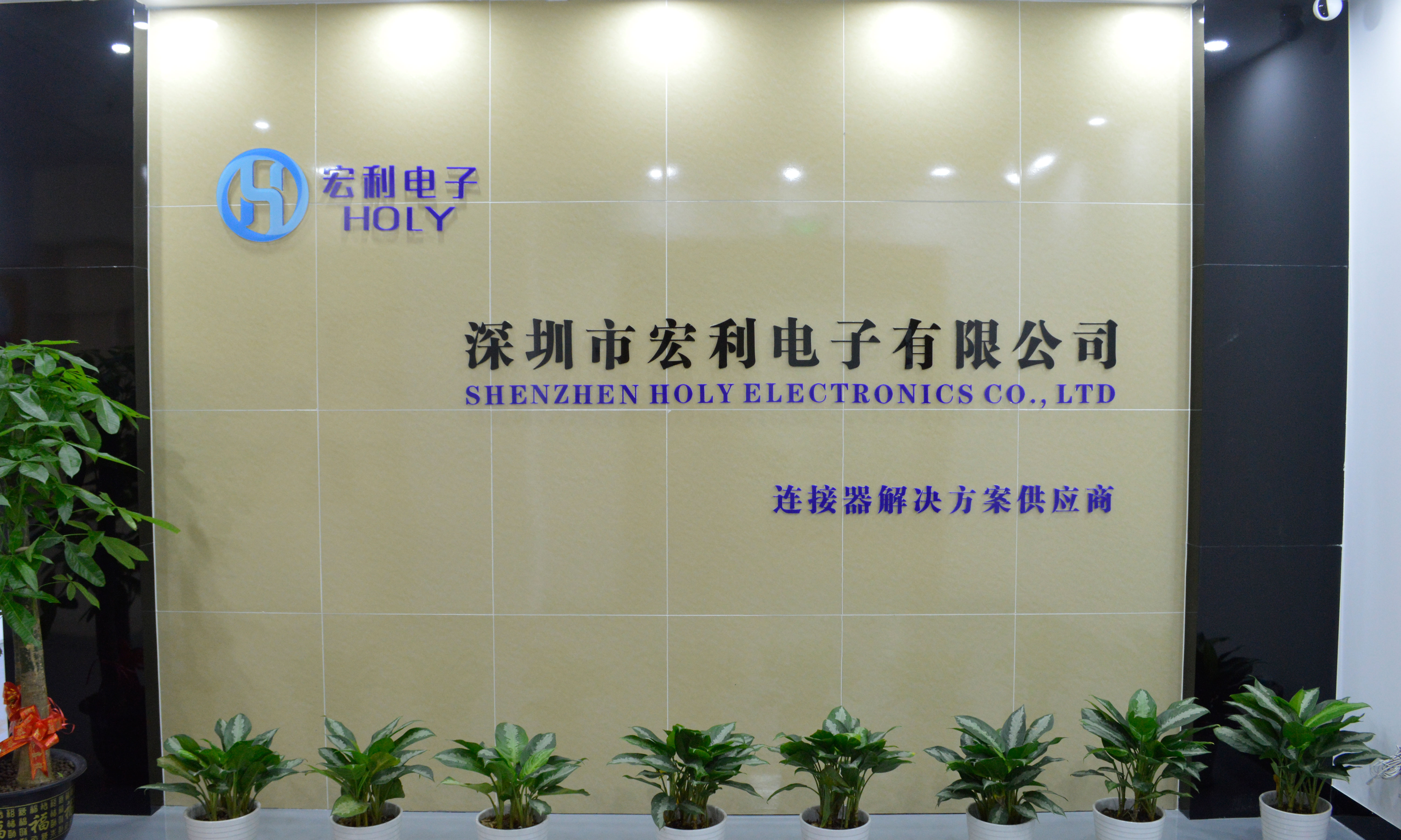 深圳市宏利电子有限公司
